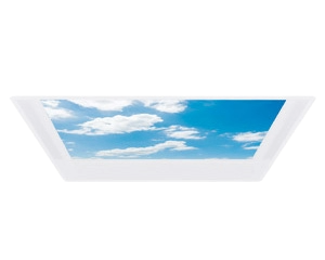 Health Care & Ligature Resistant luminaires