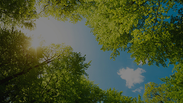 Sustainable Manufacturing