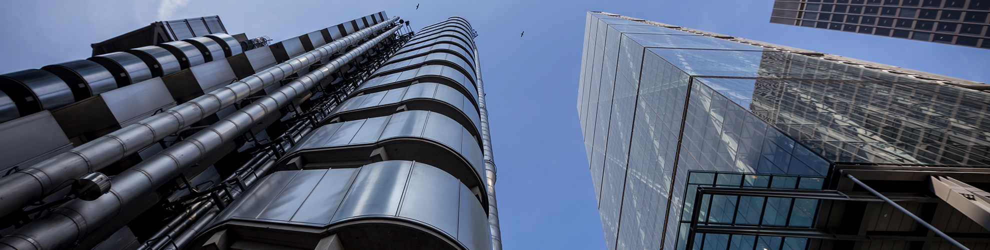 Major blue chip client in the city
