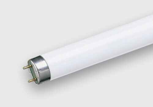 Lamp Phase Out & Alternatives