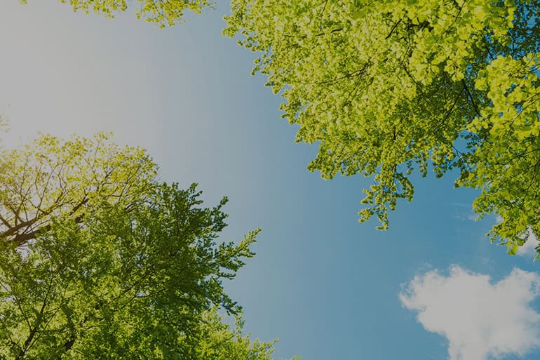 Our Sustainability Goals